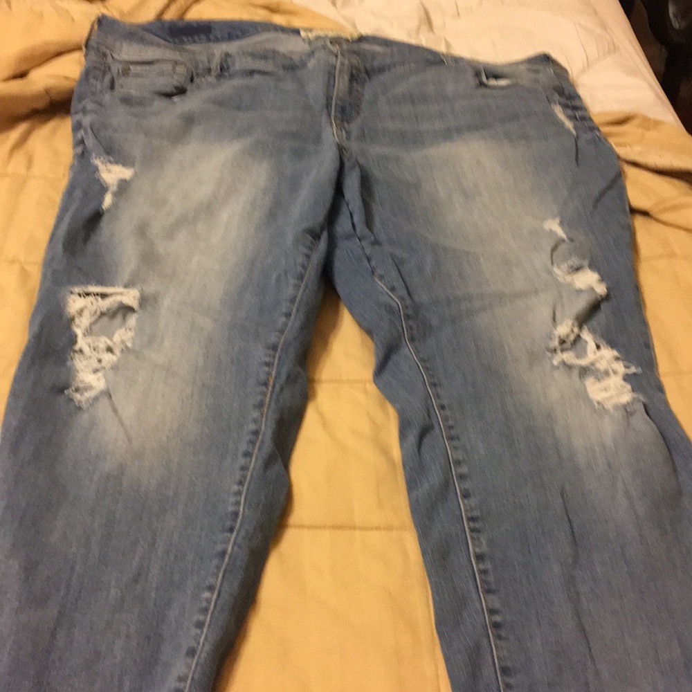 Torrid Jeans